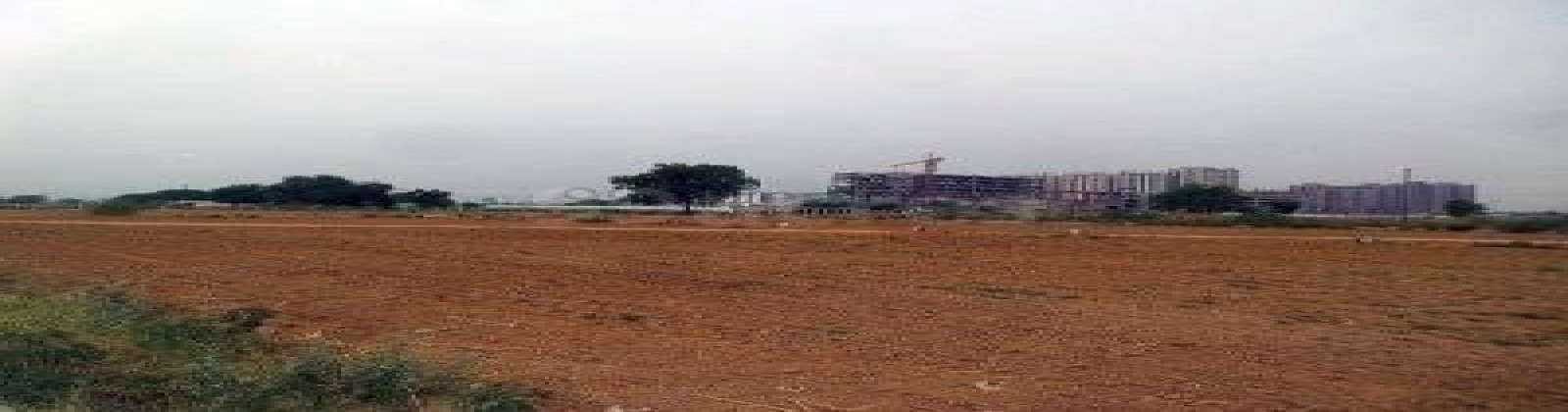 Land,For Sale,1033