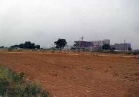 Land,For Sale,1033